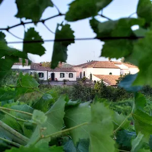 Etna , Piedimonte Etneo Italia